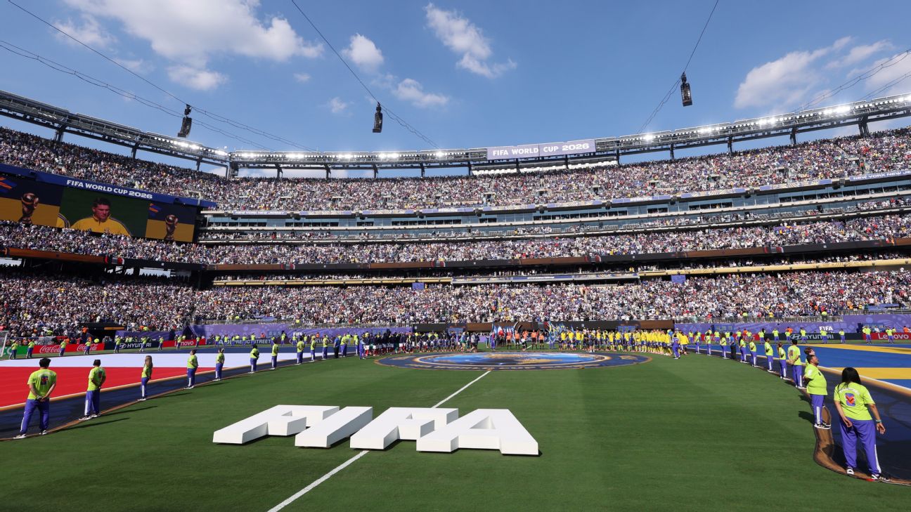 FIFA出售2026世界杯决赛球场草皮　每块450美元